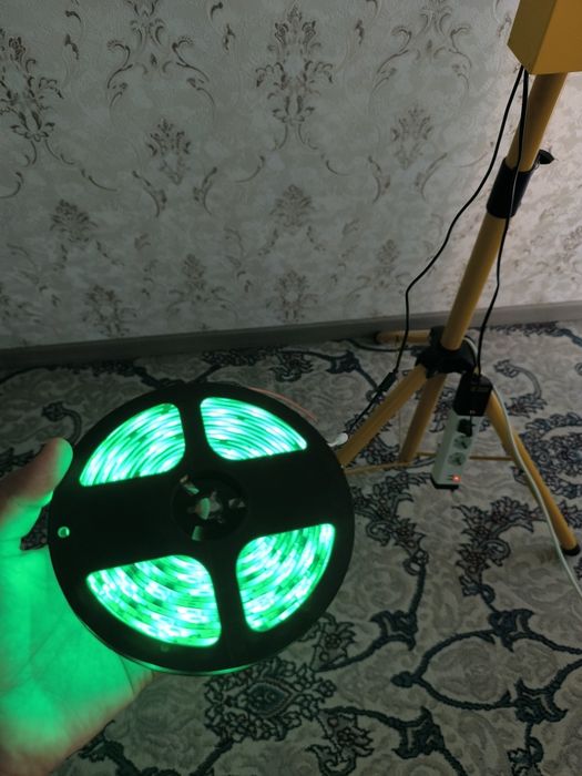 ТАЙЙОР БИЗНЕС уйин аппарат " тайокчаларни ушлаш"  ЯНГИ, 3 хил ранг