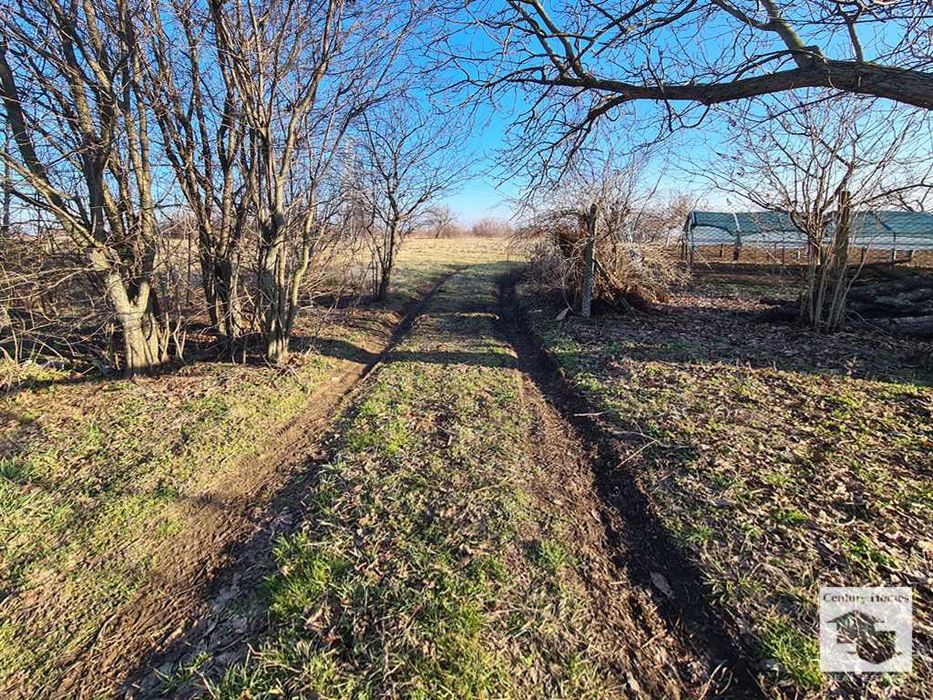 116214 Парцел в регулация в с. Беляковец, Велико Търново