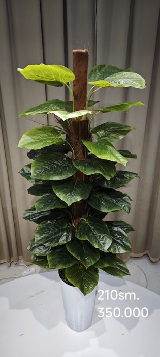 Suniy daraxt va gullar Искусственные цветы и деревья