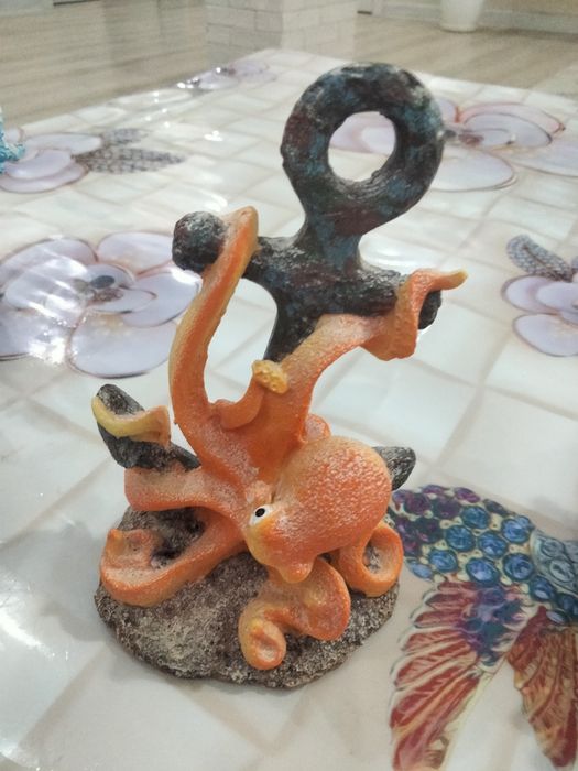 Кораллы для аквариума