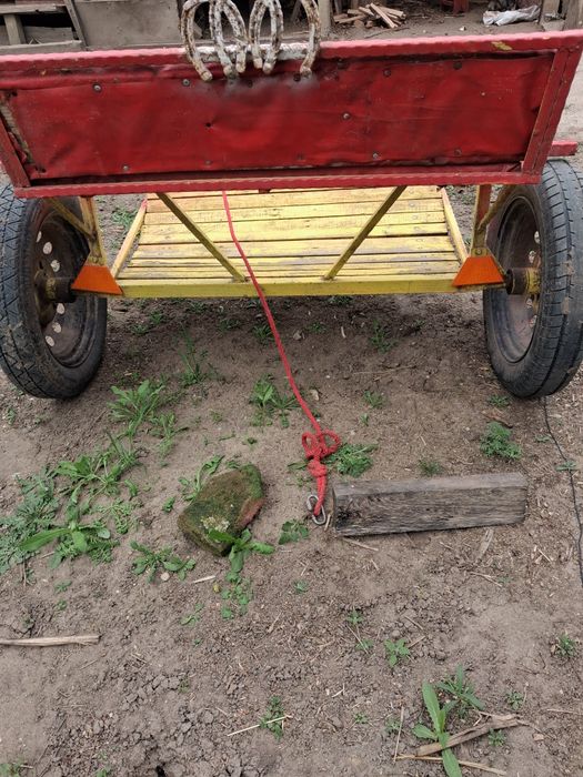 Vand sareta si un capetel