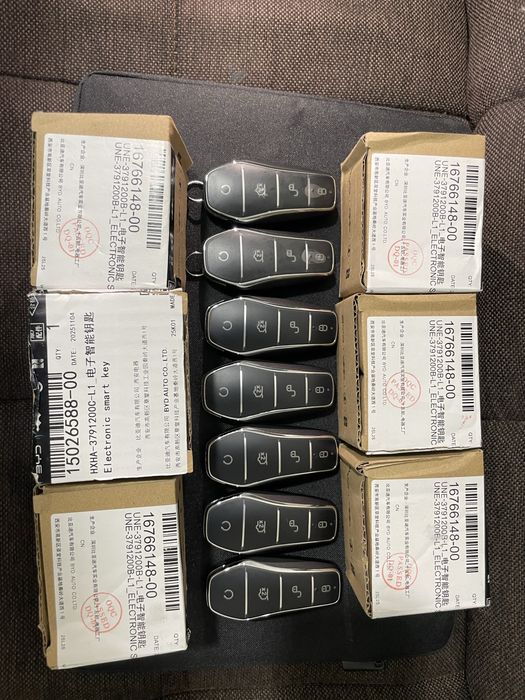Byd kalit pult original