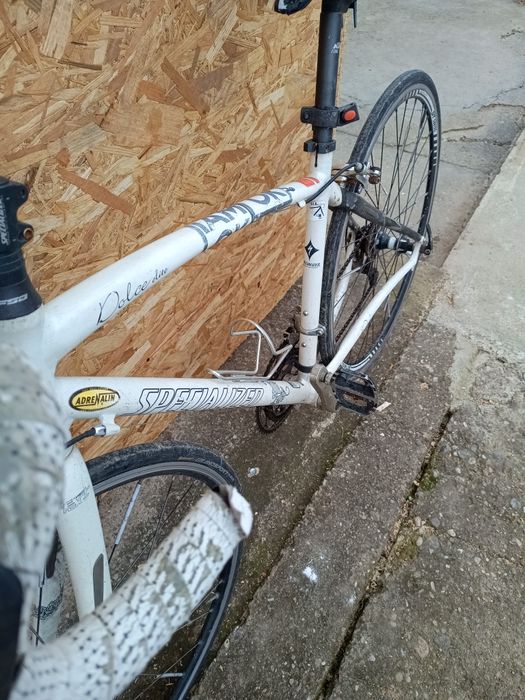 Cursiera specialized dolce