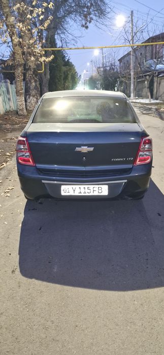 Coblt 2023 sastoyaniya