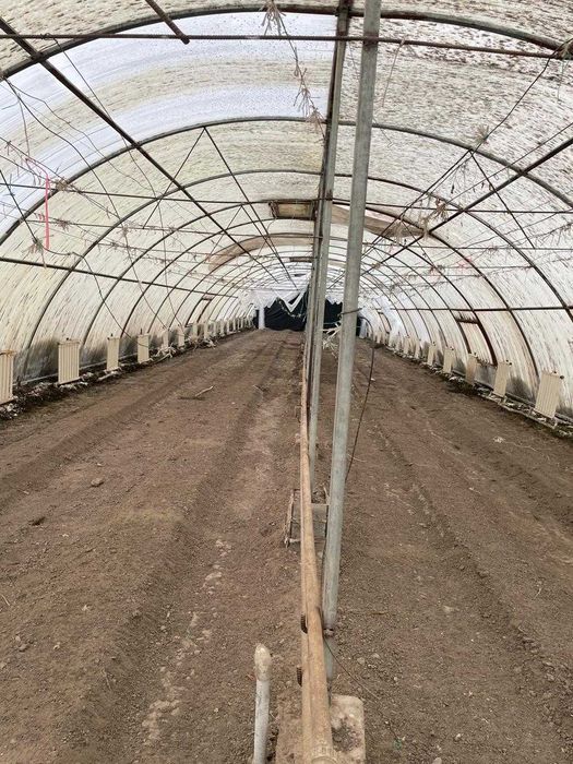 Теплица оцинкованная