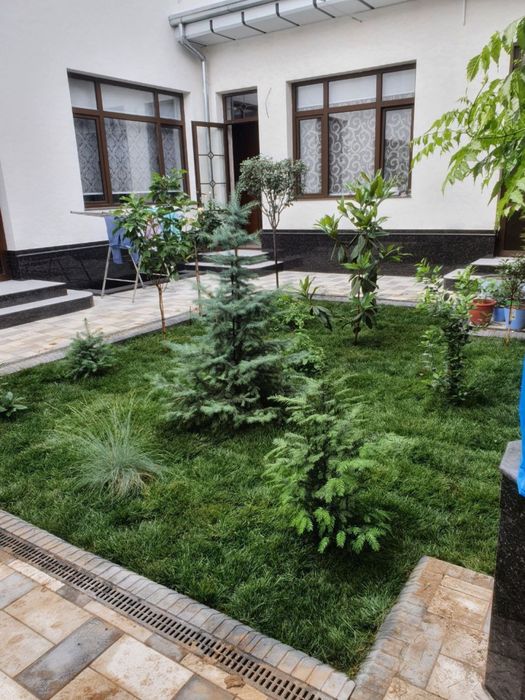 Gazon ekish urug sepish xizmati - Dizayn, arxitektura Toshkent на Olx