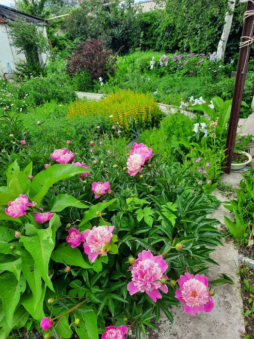 Продам Дачу на Кривом озере