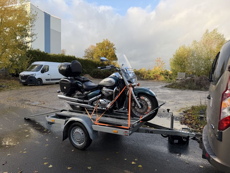 Suzuki VL 800 Intruder