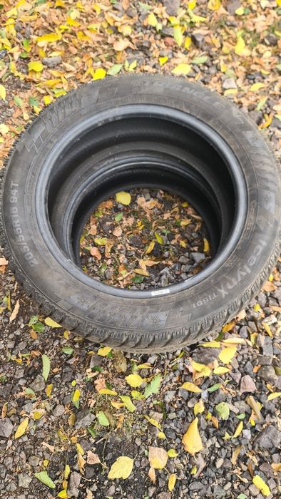 Резина 205/55R16