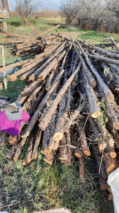 Васалик ва утин сотилади