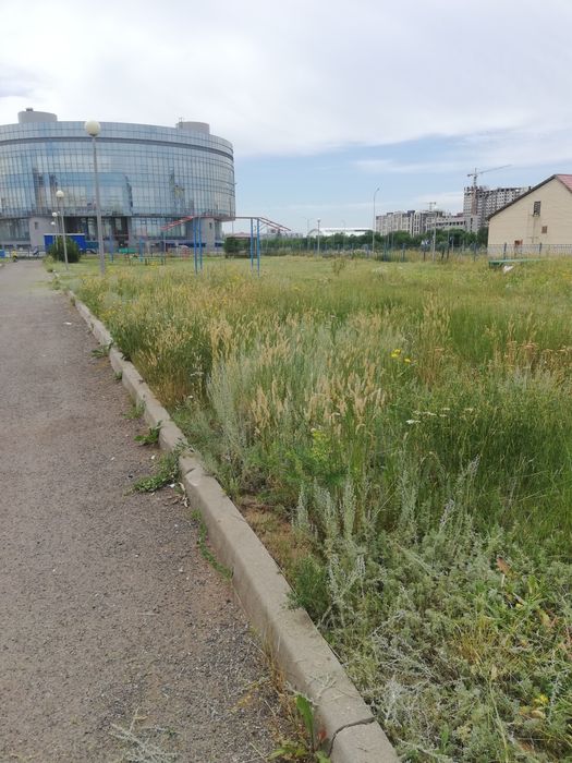 Покос, уборка травы.