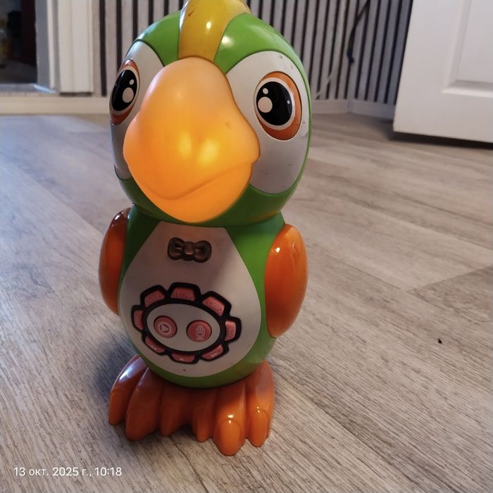 говорящий попугай.