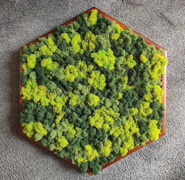 Уникални картини от естествен мъх! Декорация,арт,модерно,свежо,подарък