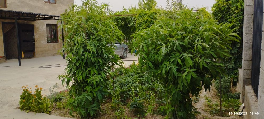 Срочно продаётся 2х этажный дом