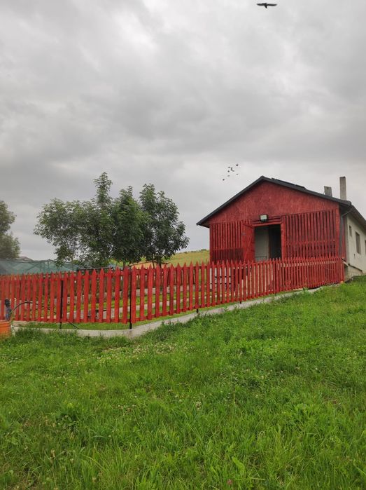 Vând fermă cu un lot de măgărițe.