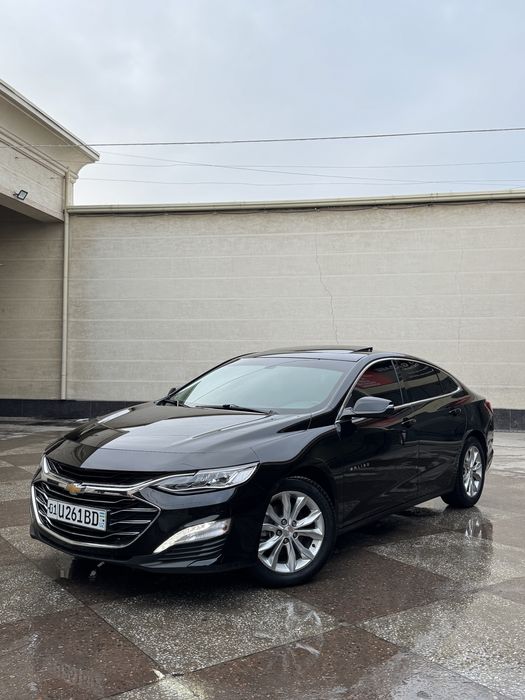 Malibu primer 2021 yil tozza