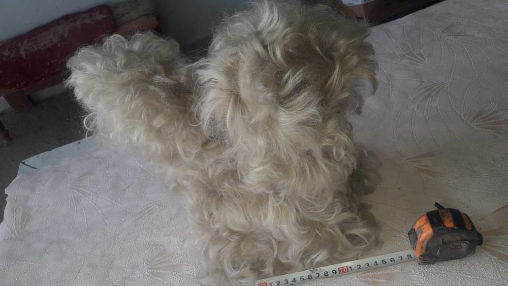 Игрушка СССР собачка продам