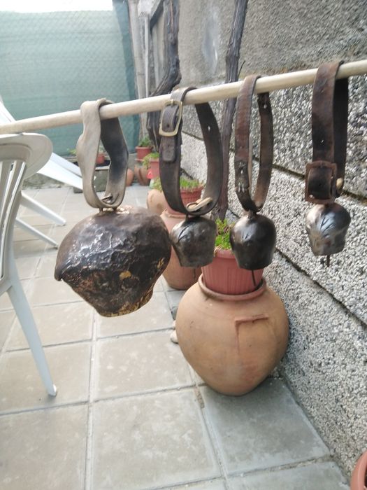 Красиви големи стари хлопки