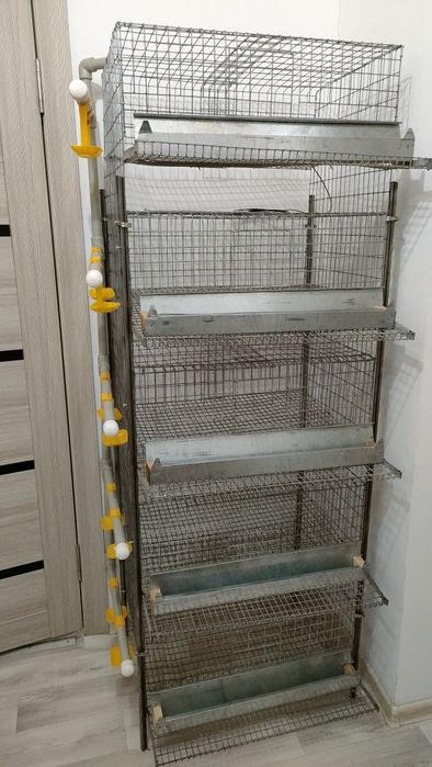 Сетка для перепелки