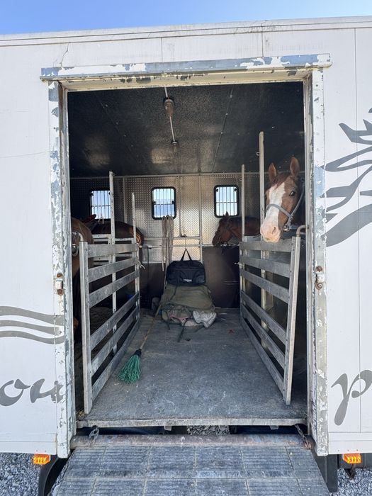 Коневозка Daf 150