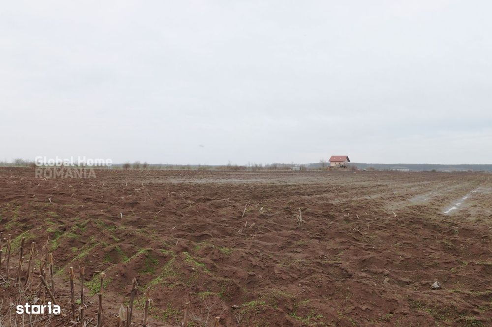 Teren 4000 mp langa Padurea Petresti | Investitie dezvoltare | Corbean