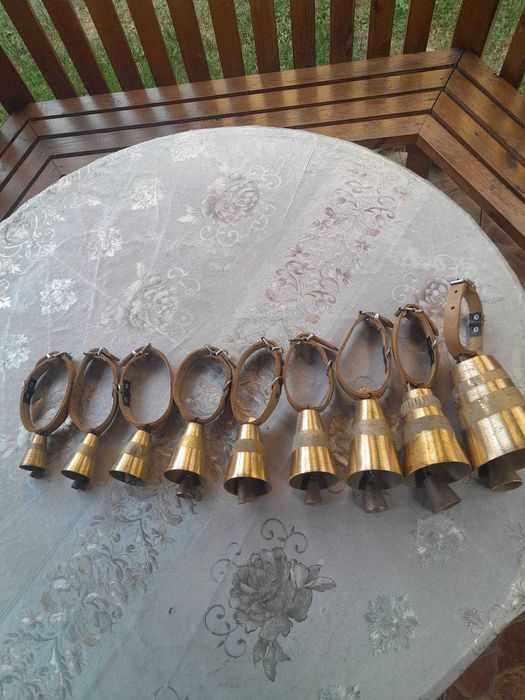 Комплект от 9 чана с каишки