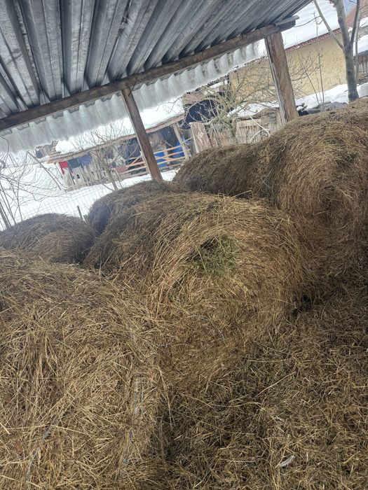 Vand baloti de lucerna