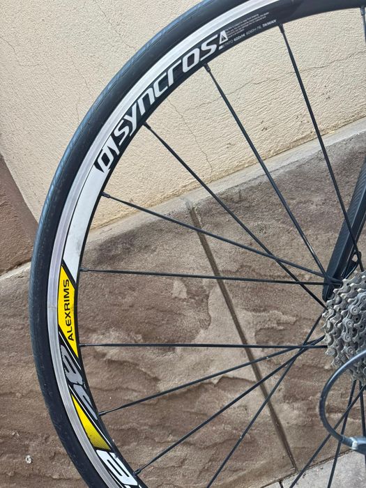 Cursiera Scott CR1 carbon
