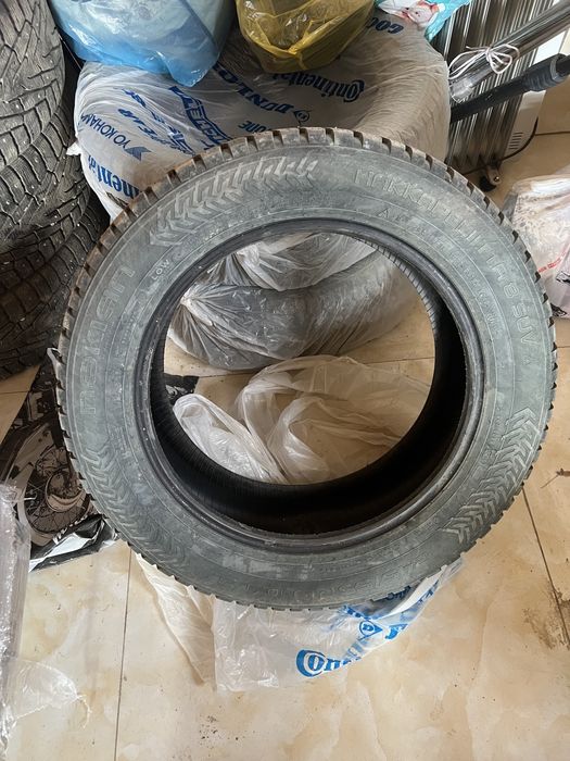 Шипованный шины 245/55 R19