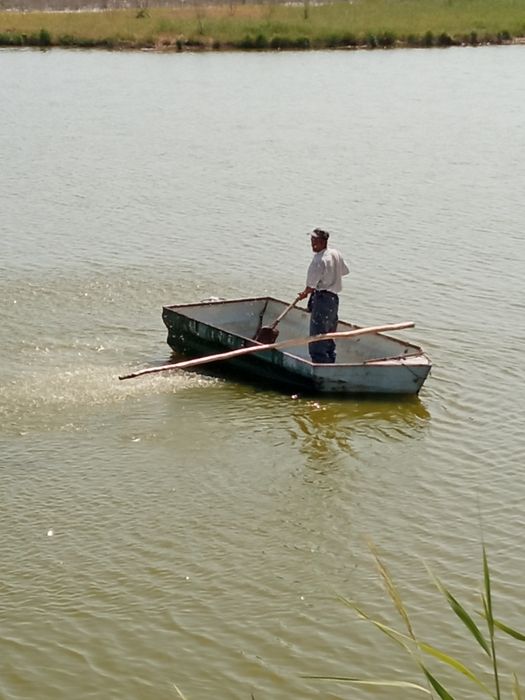 Baliqchilik suniy kuli