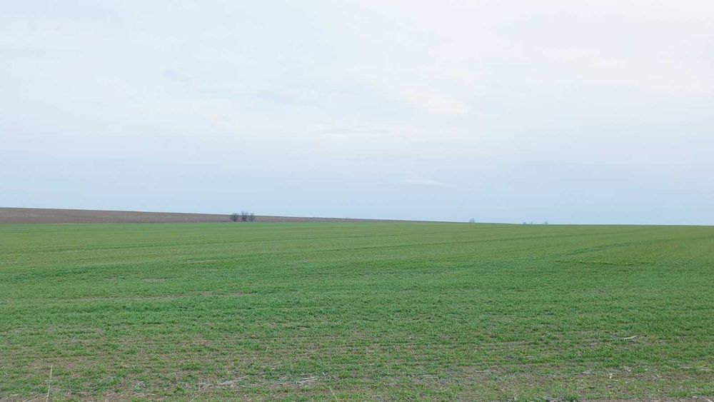 Продава се Земеделски имот в София, Люлин 1 -  кв.м за 509 €/дка - Снимка #7