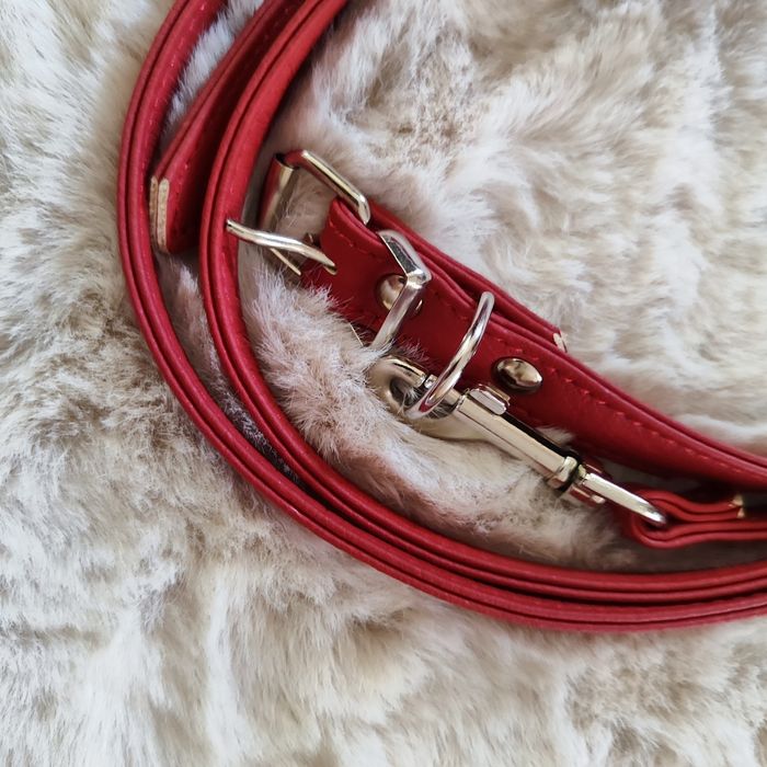 Одежда для собак