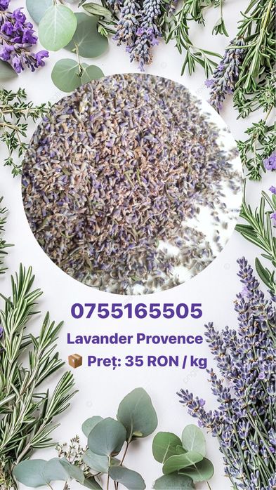 Vând sămânță de lavandă naturală