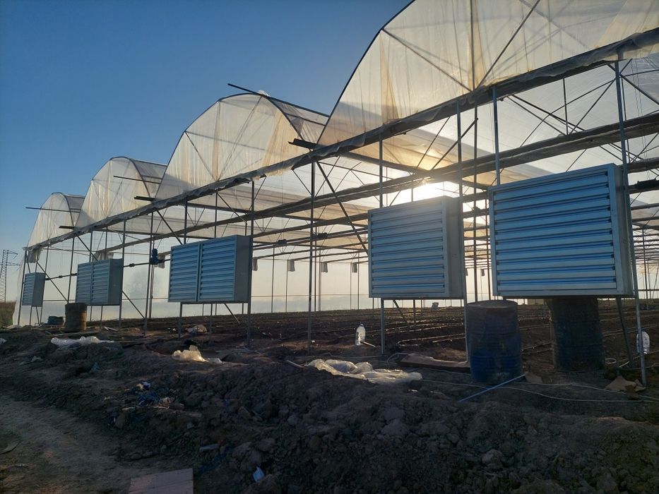 Охлаждение для теплиц