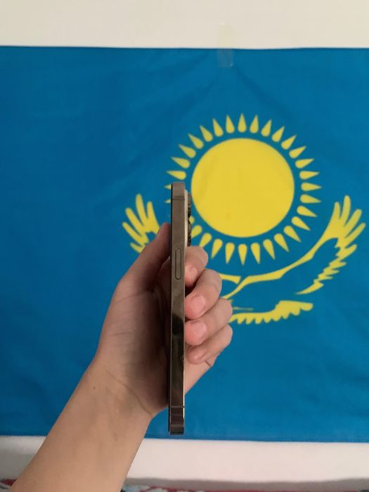 Iphone 14 Pro Золотистый