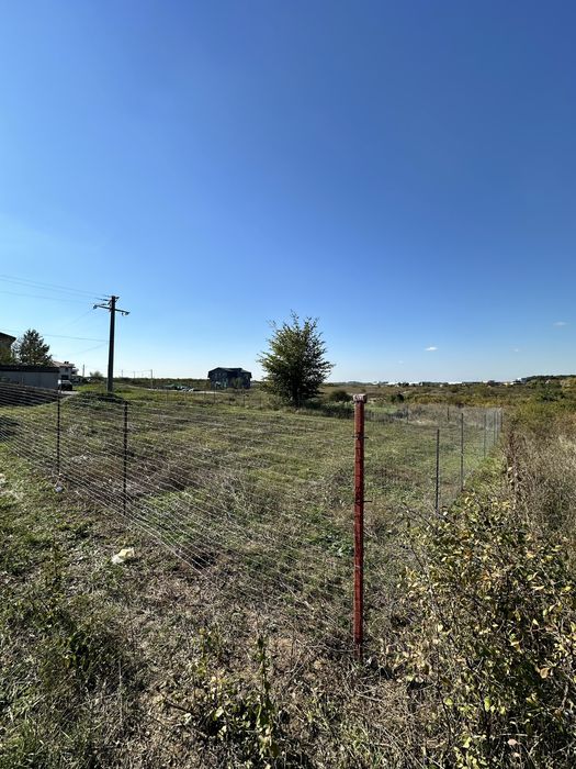 Teren Mogosoaia 624mp (proprietar)