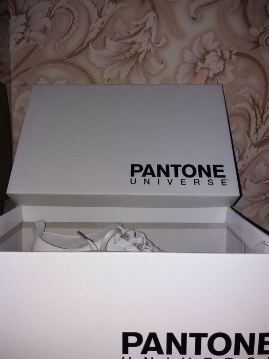 Мъжки обувки Pantone 41 номер