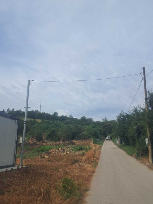 Безплатно дърва за горене или за мулч