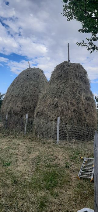 Vând două clăi de fân de anul acesta 2026