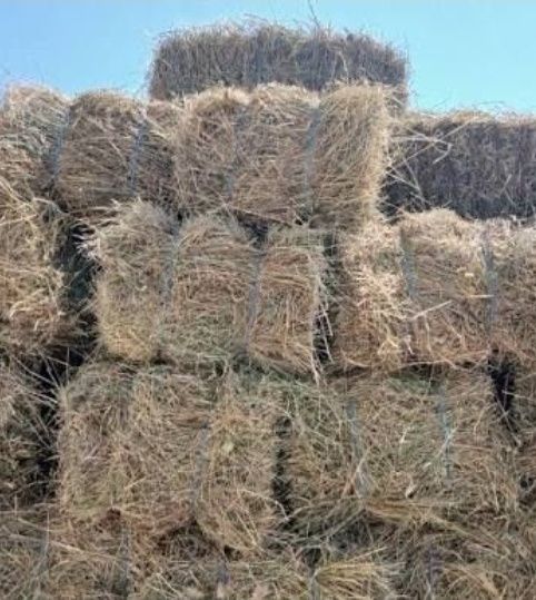 Vand baloti de fan lucerna