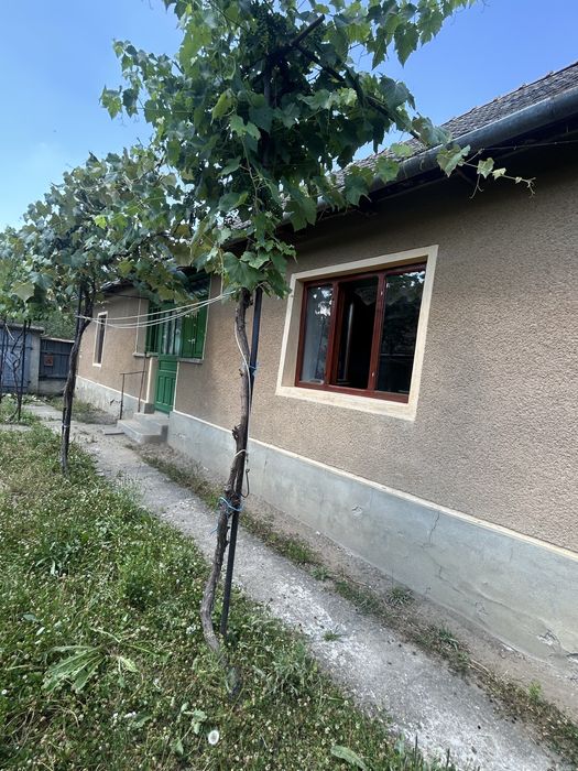 Vand Casa cu curte si gradina