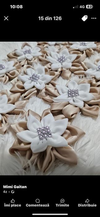 Panglici ,cocarde clasa a-VIII-a 25 Lei