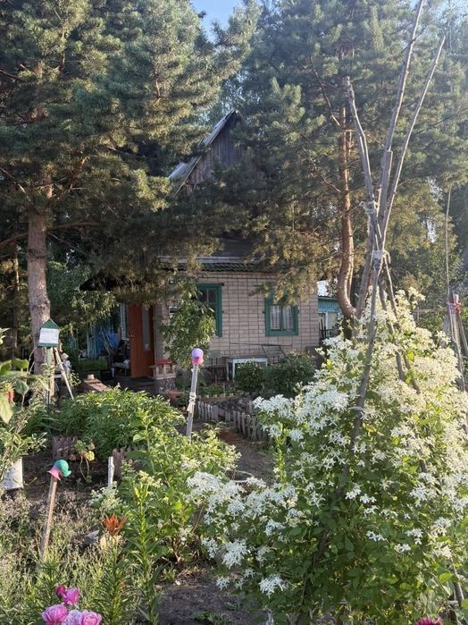 Продам дачу в СО ,, Горизонт,,
