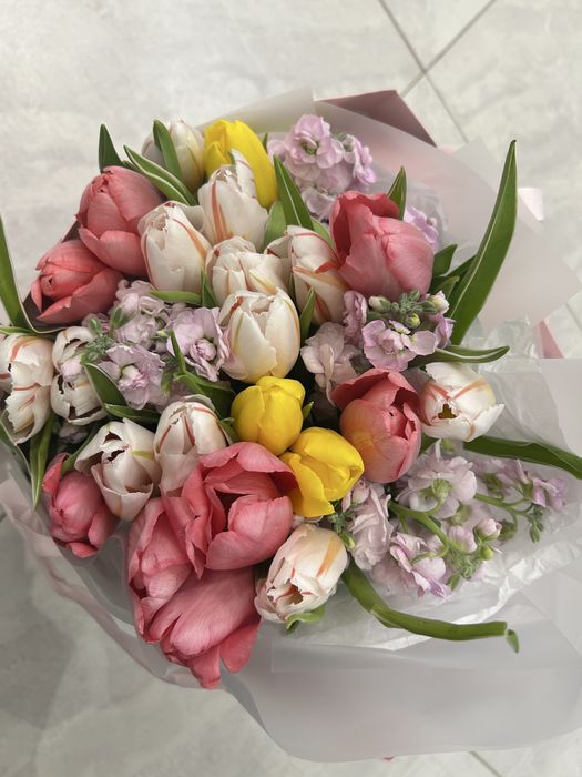 Продам тюльпаны свежие