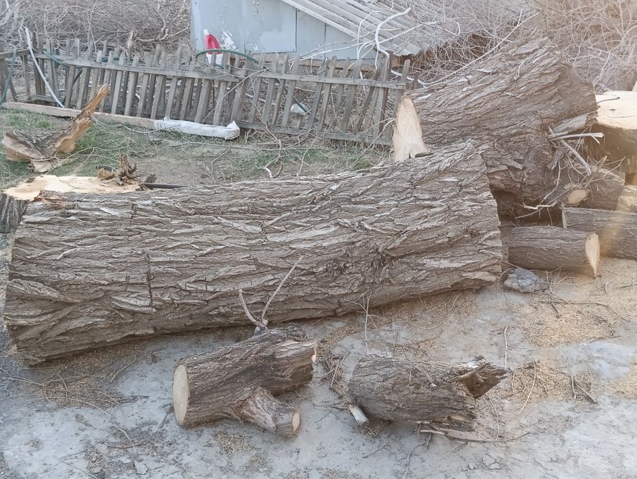 Дрова карагач самовывоз