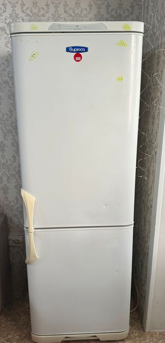 Холодильник Бирюса