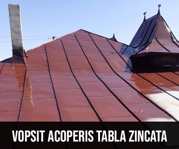 Executam acoperisuri si mici reparati izolati carton bituminos