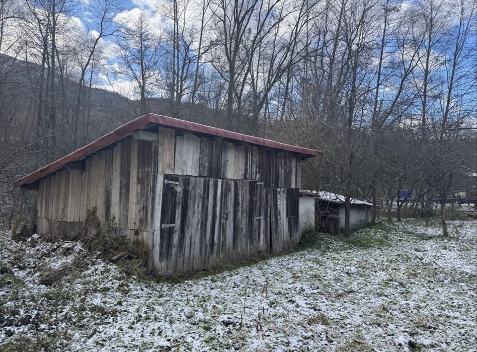 Vand cabana Ocolisel, Valea Ariesului