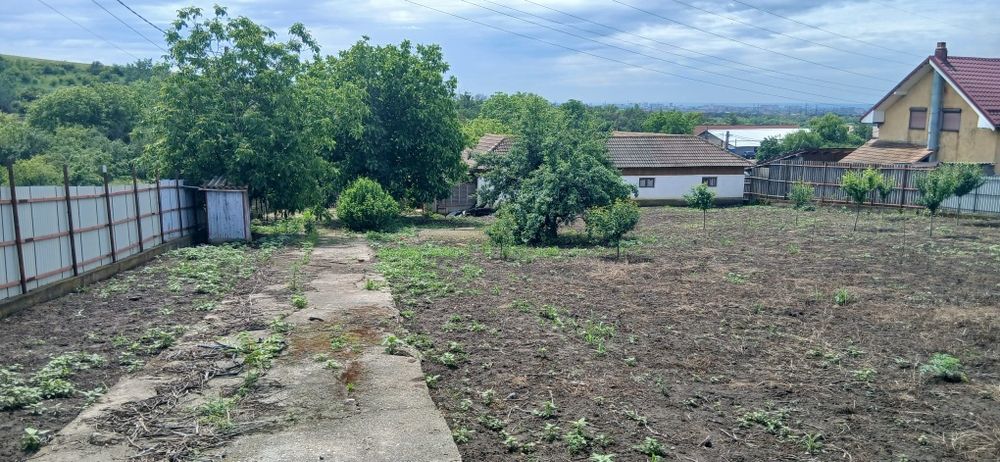 Teren și construcții