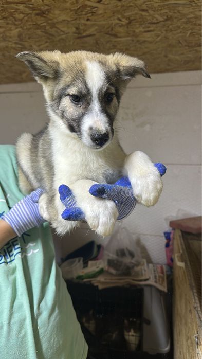 2 парня 3 мес с доставкой